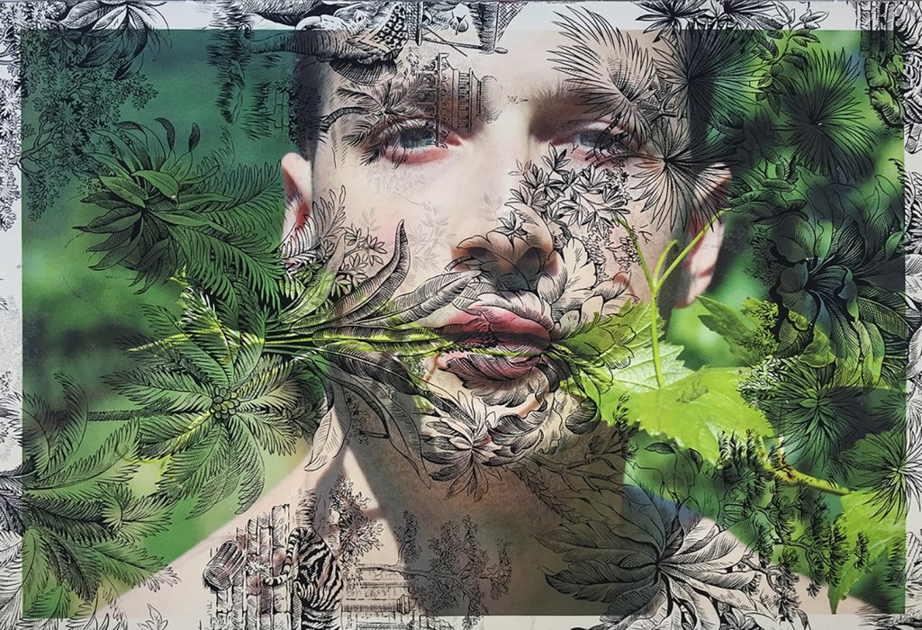 Dan Jalba face vineyard Vienna (on black tiger toile) 2015